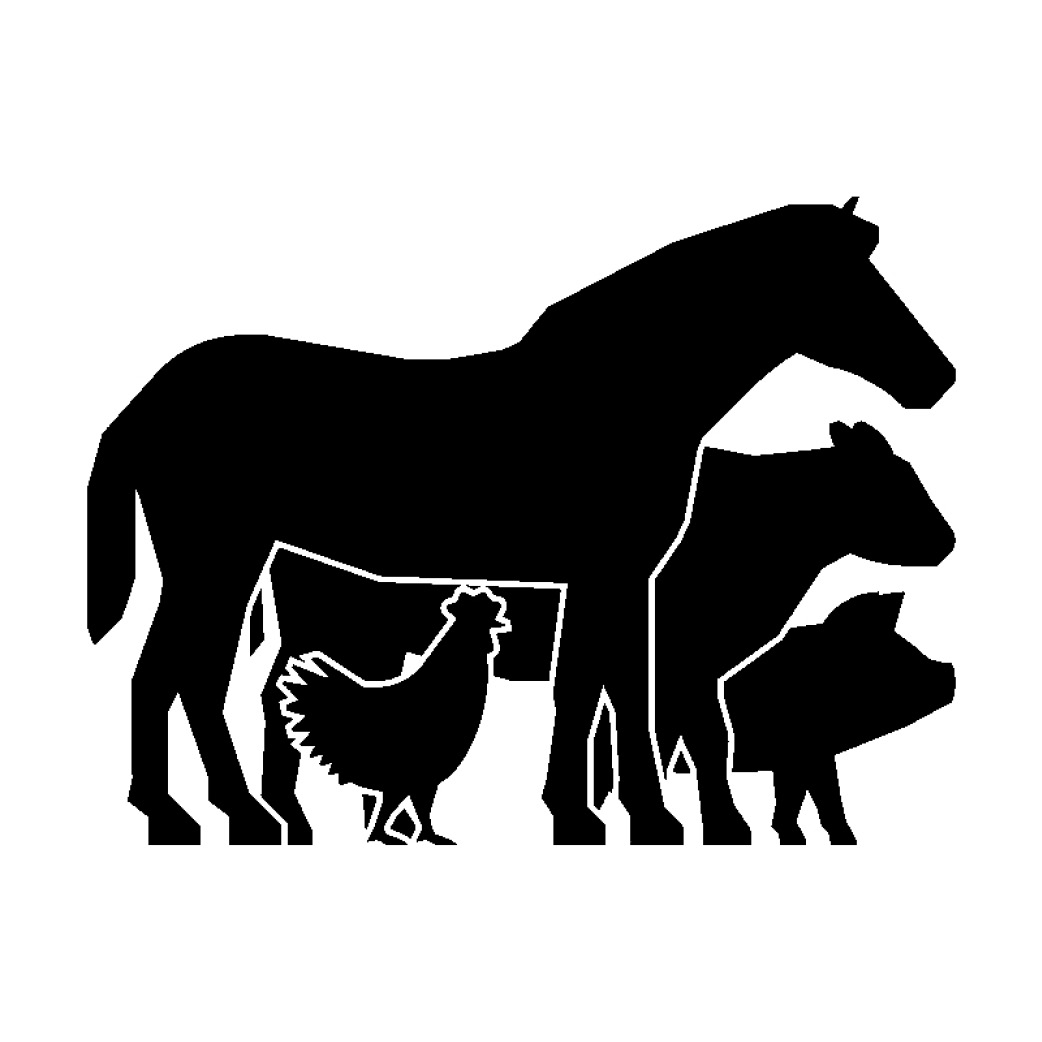 Wild animals
