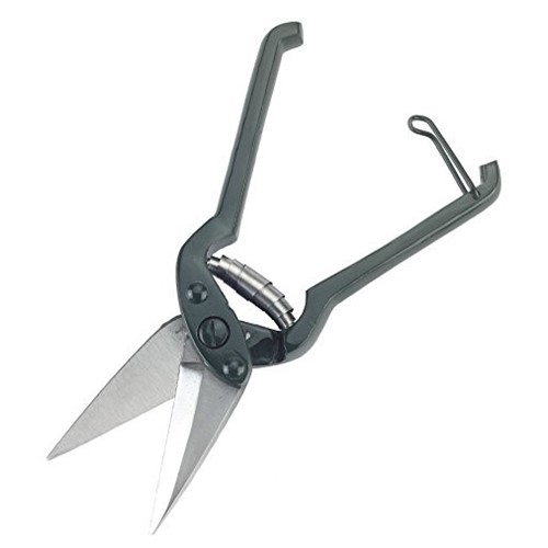 Foot rot shears