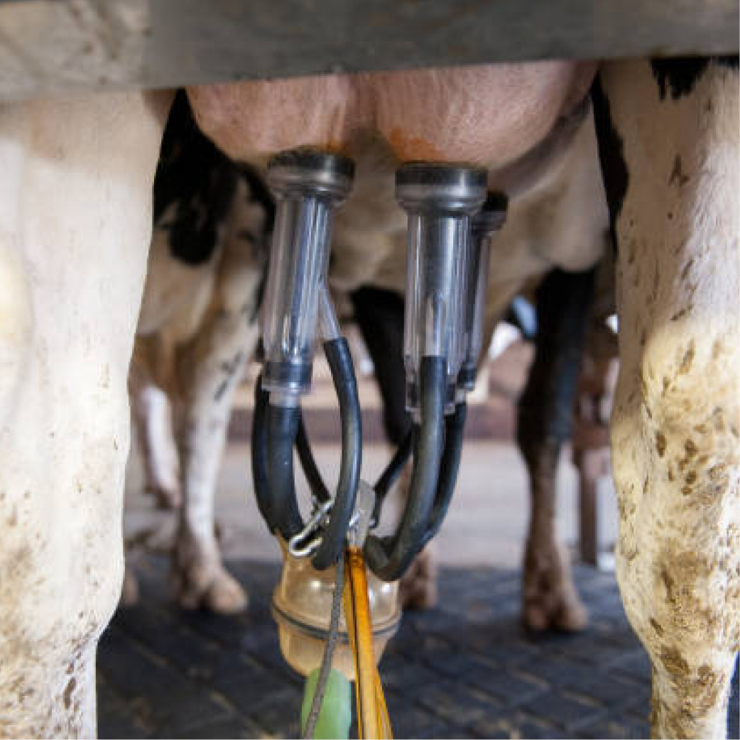 Milking equipment