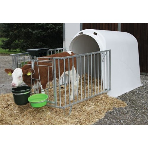 Calf house