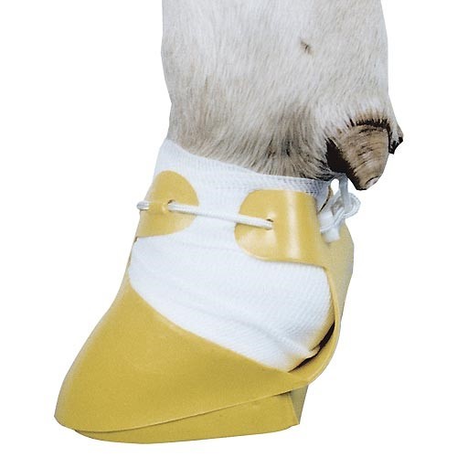 Claw shoe shoof