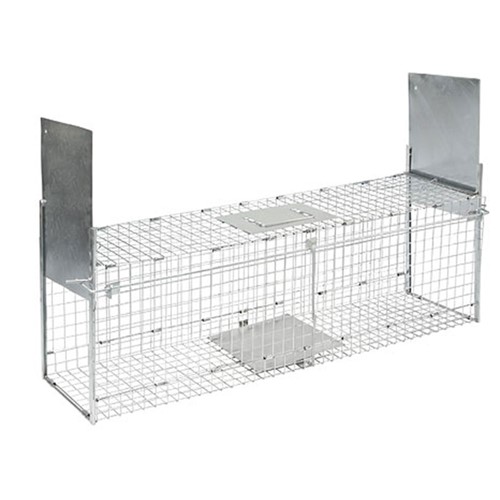 Box trap alive predator