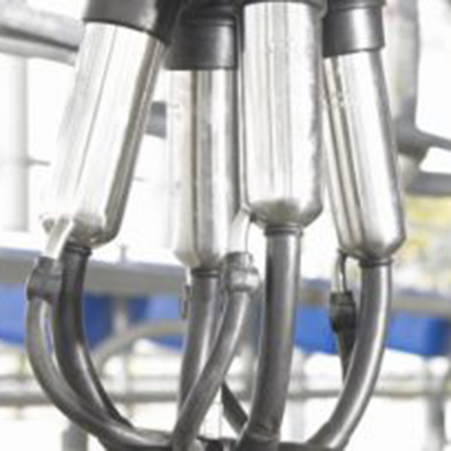 Milking machinery