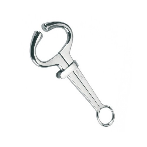 Bull holder harms