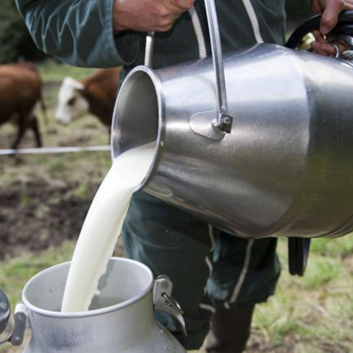 Milking Machinery
